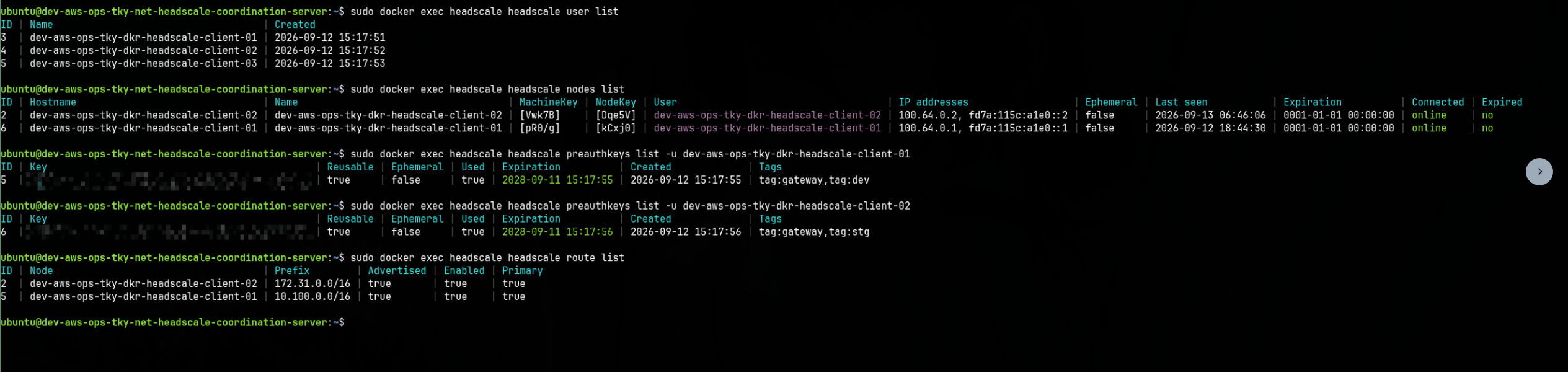 Headscale coordination server showing registered users, nodes, and pre-auth keys